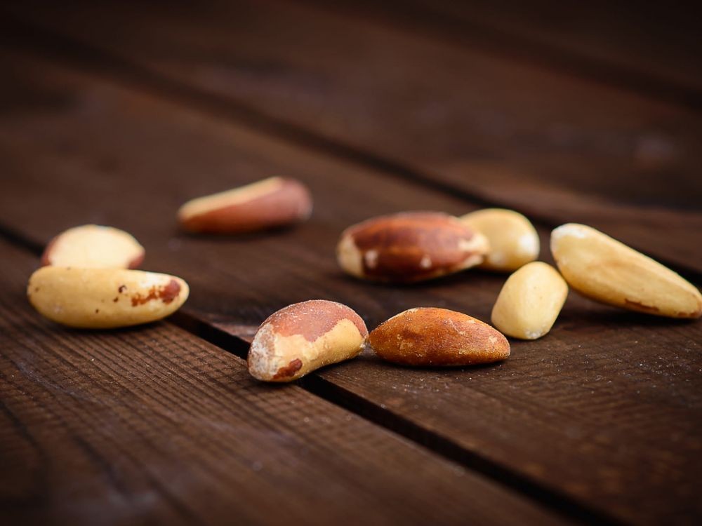 Mengenal  Kacang Brazil, Menyehatkan Otak Hingga Mengurangi Peradangan