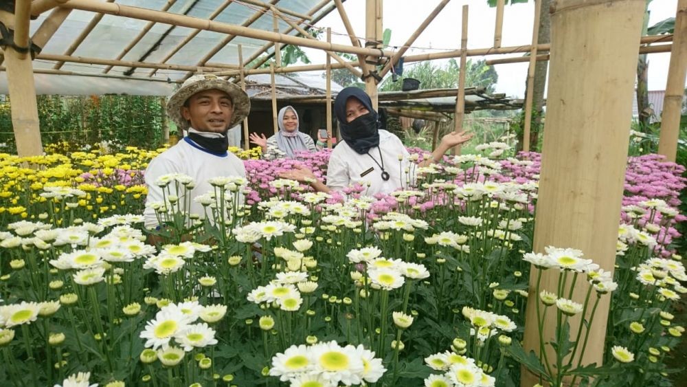 Kementan Terus Kembangkan Agroindustri Hortikultura