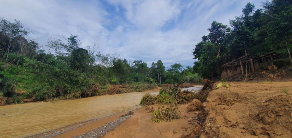 Pasca Banjir, Nature for Change Tanam Pohon di Bantaran Sungai Landak
