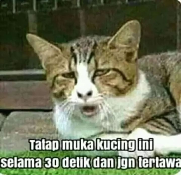 10 Meme Dengan Kalimat Menjebak Ini Berhasil Bikin Yang Baca Kesel