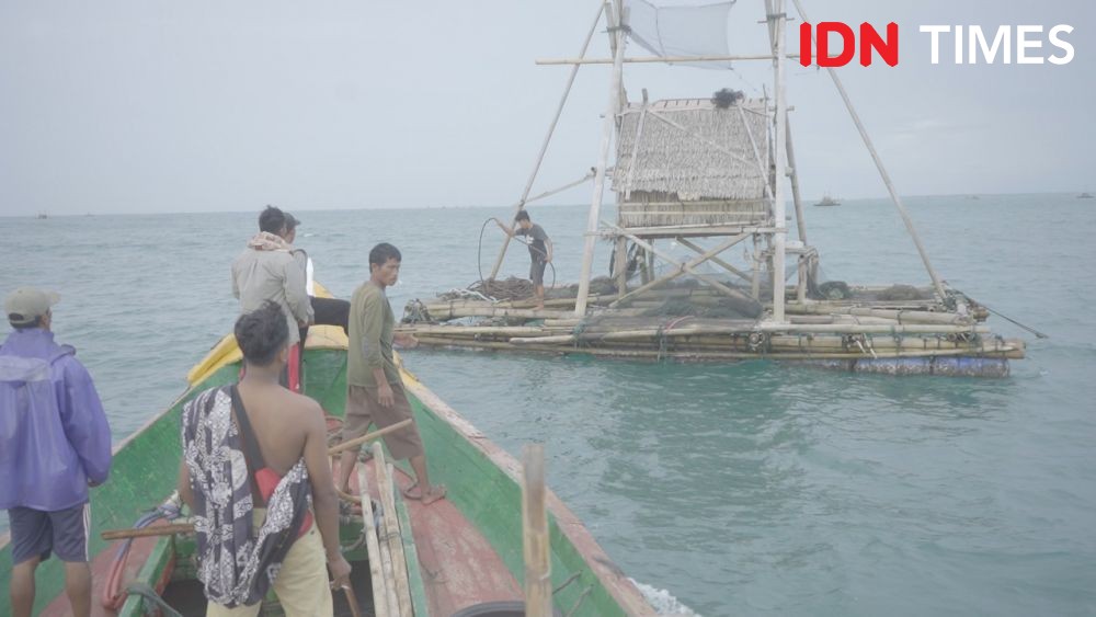Polisi Gagalkan Penyelundupan 12.117 Benih Lobster dari Banten Selatan