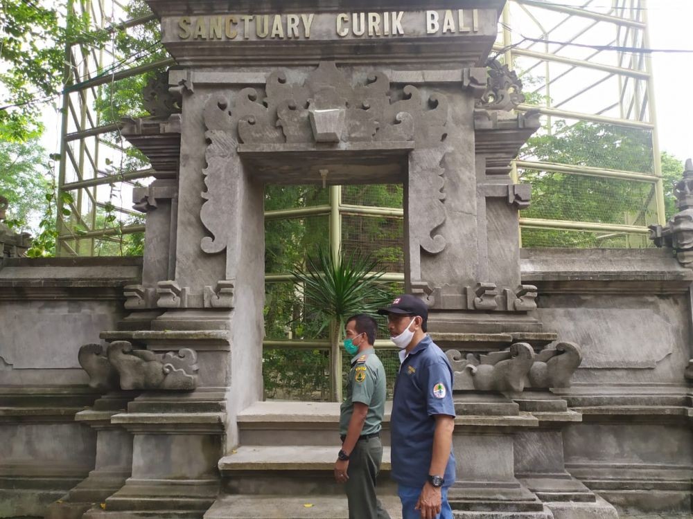 Cuma Seluas 175 Hektar, Pulau Brumbun Surganya Burung Jalak Bali