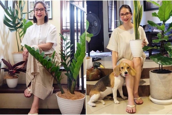 9 Koleksi Tanaman Novita Angie dari Ara Biola sampai Lidah Mertua