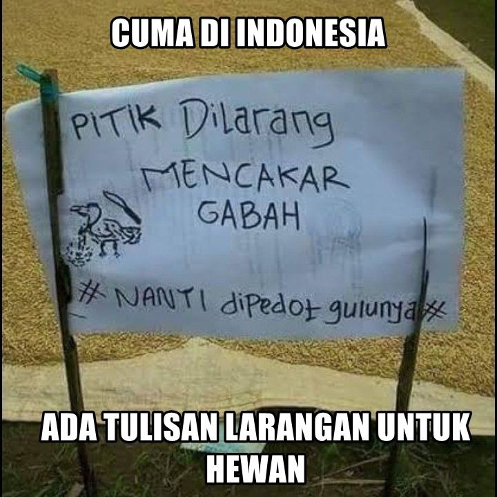 10 Meme Kocak Larangan Unik Yang Cuma Ada Di Indonesia Bingung Abis