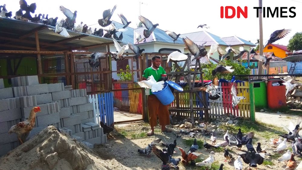 Mengenal Mances, Si Ayah Ratusan Kucing Telantar di Gorontalo