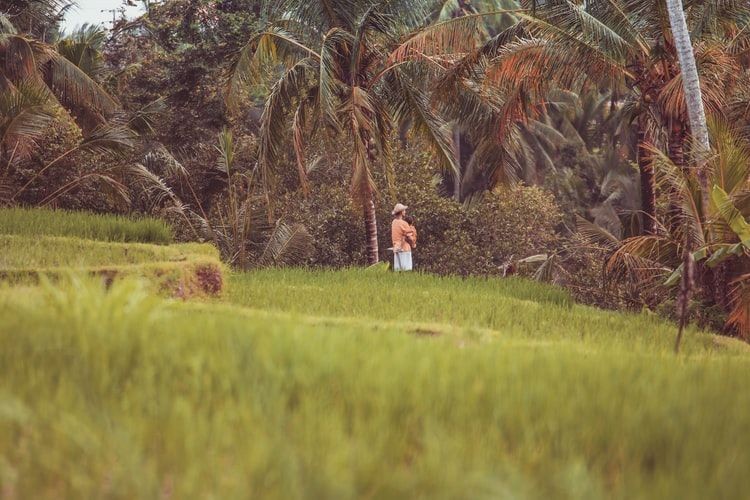 10 Hal yang Bikin Bule Kaget saat Liburan Tahun Baru di Bali