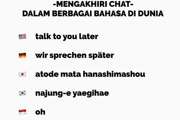 10 Meme Kocak Kebiasaan Chat Orang Indonesia vs Luar Negeri, Setuju?
