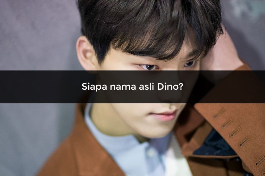 [QUIZ] Seberapa Cocok Kamu Jadi Kekasih Dino Seventeen?