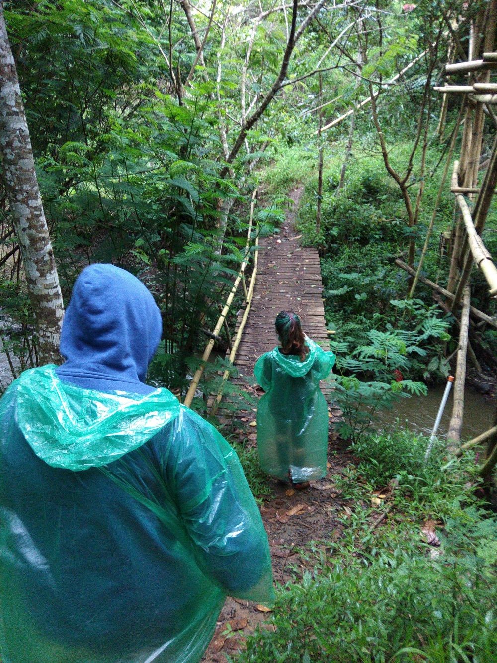 Liburan Sehat dan Seru dengan Trecking di Hutan Pinus Bandung