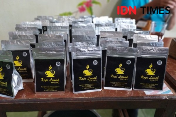 Menyesap Wangi Kopi Luwak Malino, Harga Satu Kilogram Rp1,8 Juta