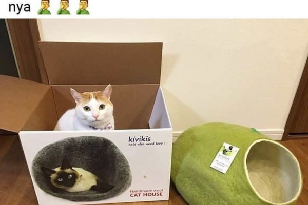 10 Momen Gak Ada Gunanya Ini Bisa Buat Kamu Geleng Kepala