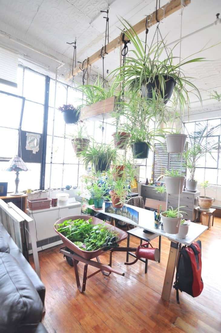 10 Inspirasi Vertical Garden Yang Cocok Untuk Rumah Mungil