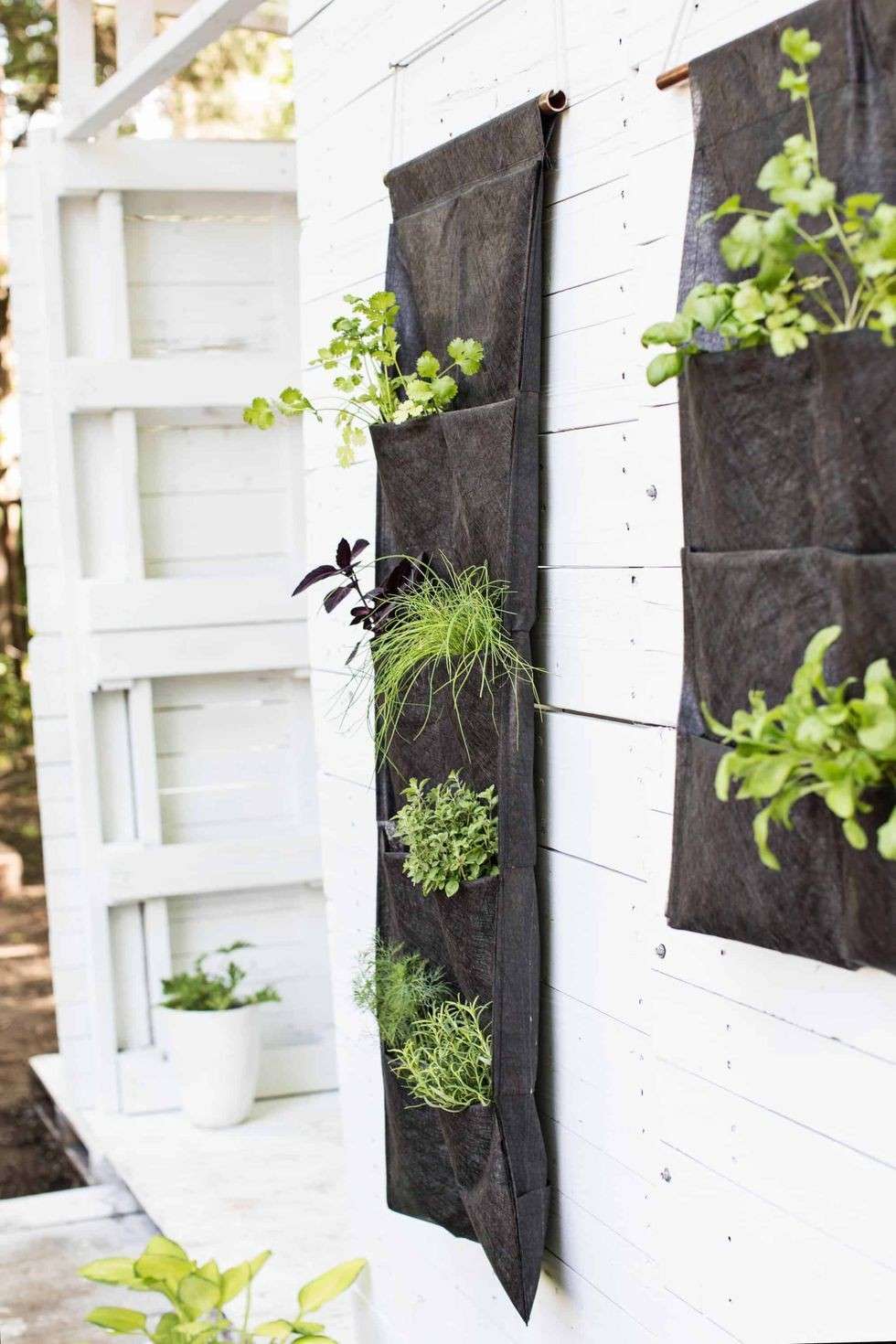 10 Inspirasi Vertical Garden Yang Cocok Untuk Rumah Mungil