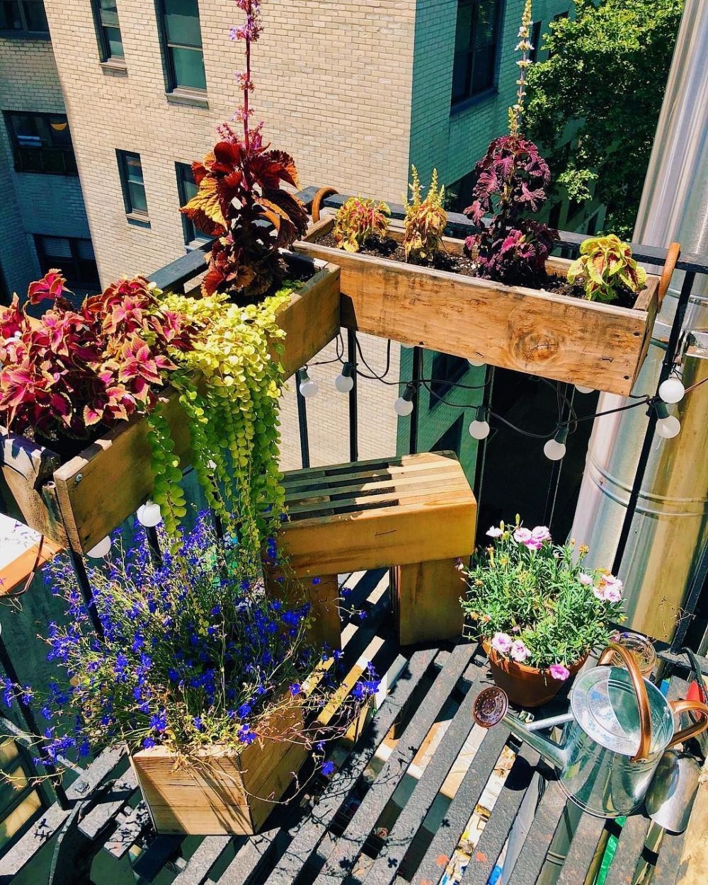 10 Tips Dekorasi Kebun Mini di Apartemen  Bisa di Balkon 