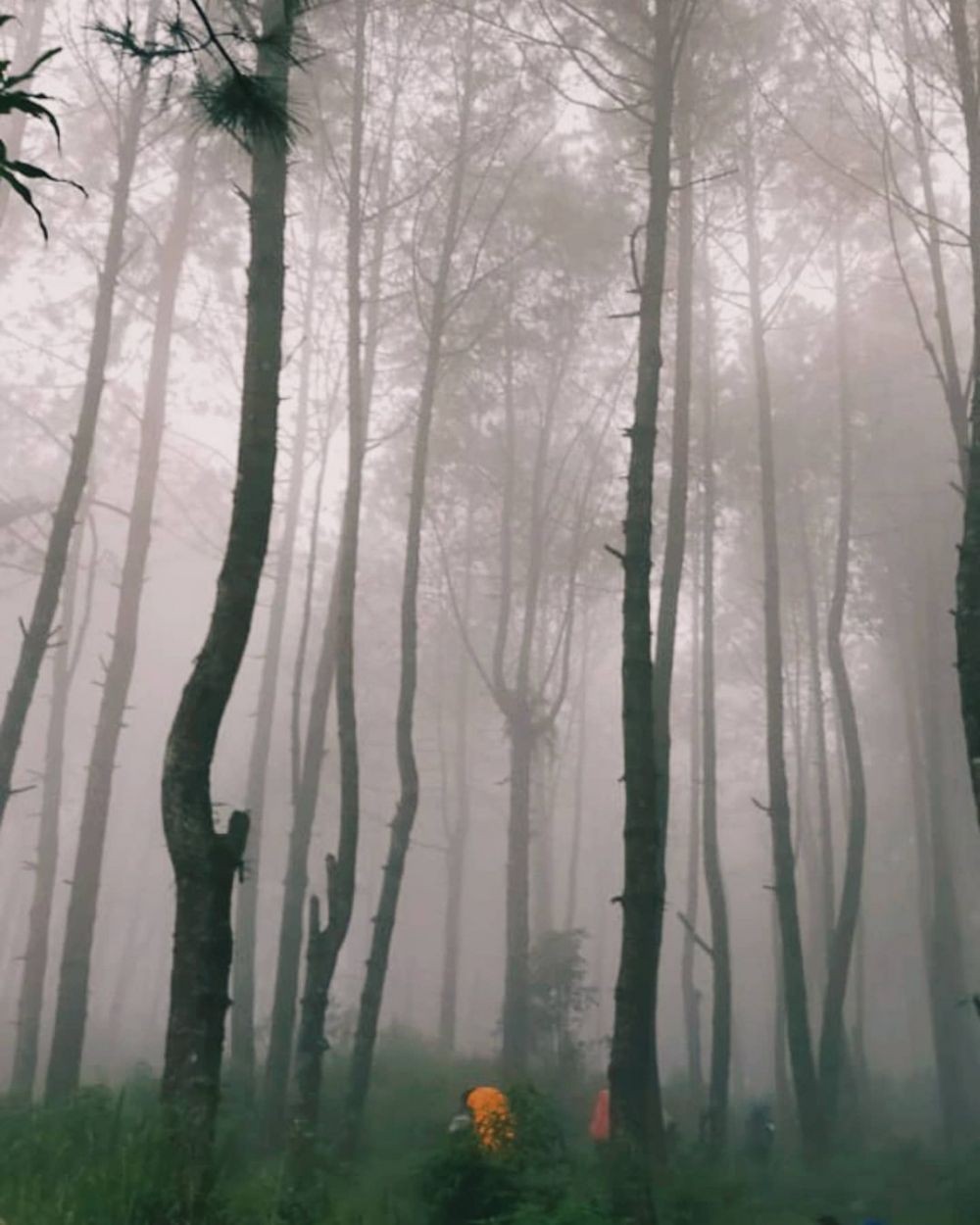 10 Gunung Api Aktif yang Angker di Pulau Jawa, Ada Nenek Misterius