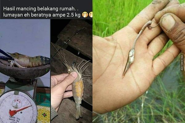 10 Potret Pamer Hasil Pancingan Ini Ending-nya Tak Terduga, Kocak Abis