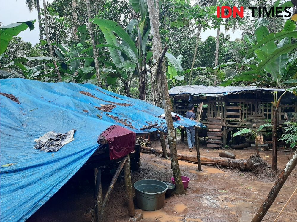 Kisah Keluarga di Pandeglang yang Setahun Tinggal di Tenda Terpal