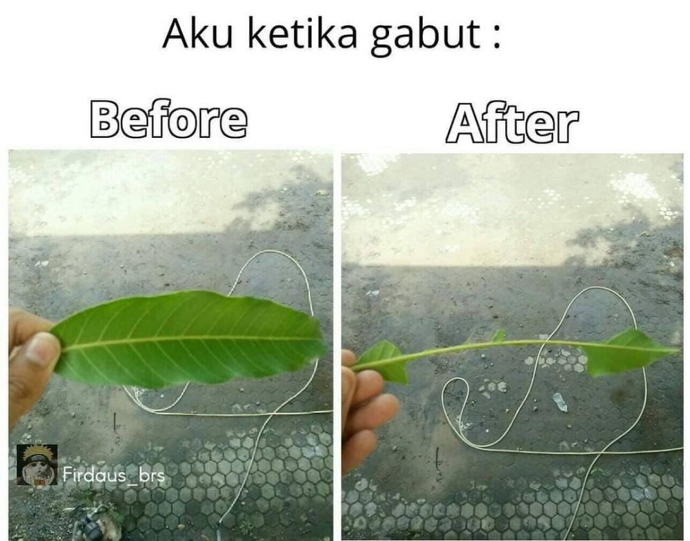 10 Meme Kocak Kegiatan saat Lagi Gabut, Bikin Cekikikan