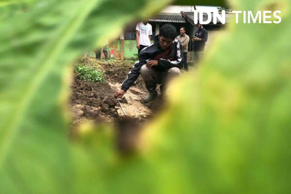 Heboh Warga 1 Ilir Temukan Batu Candi Abad 12 di Areal Kebun dan Makam