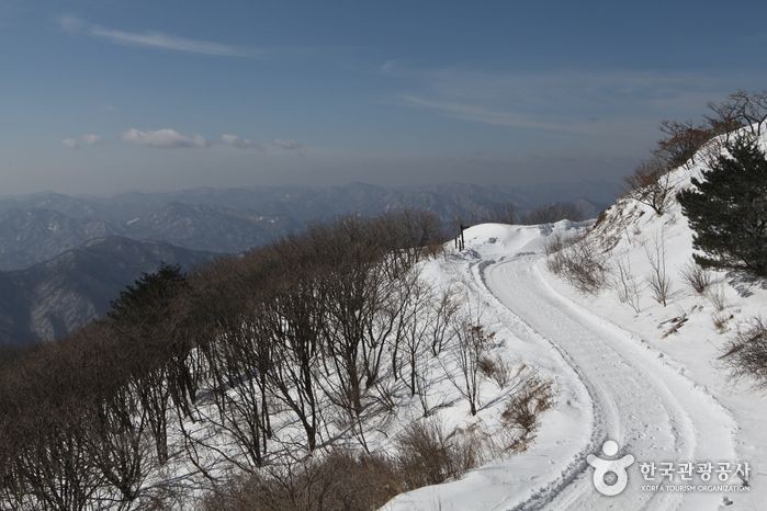5 Destinasi Musim Dingin di Daegu dan Gyeongbuk Korea, Selain Seoul