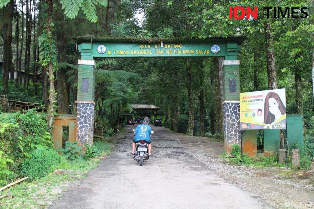 Gagal Ke Puncak Banyak Wisatawan Berlibur Ke Gunung Bunder