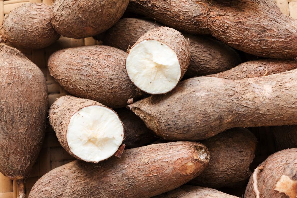 Camilan Favorit, Cara Bikin Singkong Keju Enak yang Bikin Ketagihan!