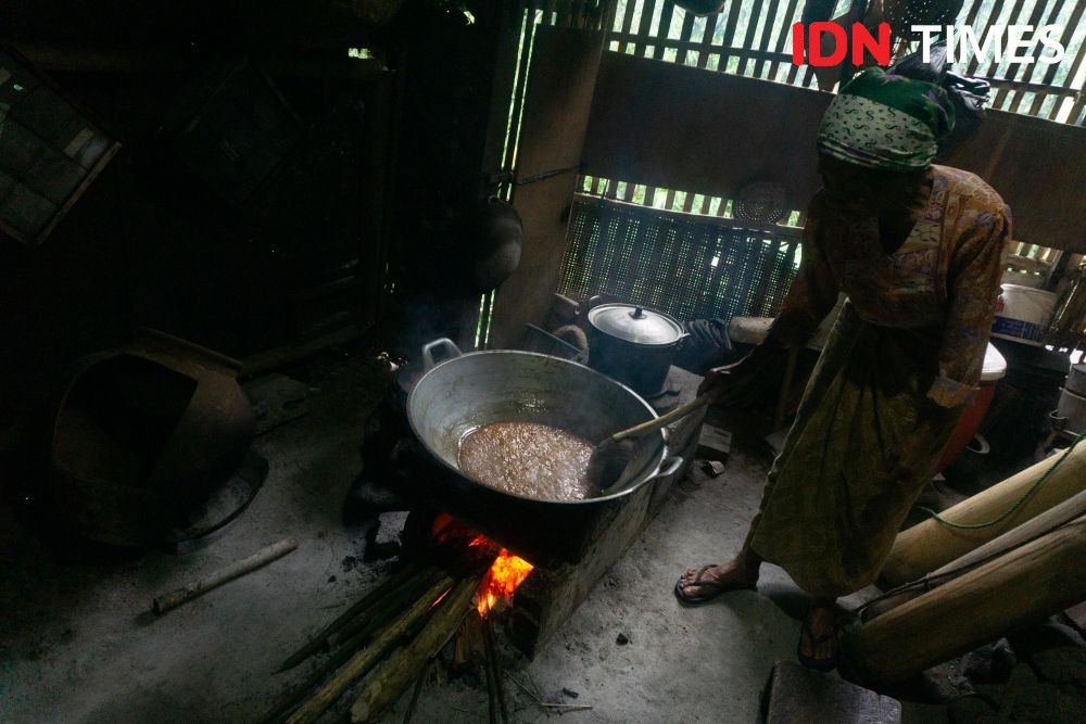 10 Potret Pemanfaatan Pohon Aren Khas Hutan Hujan Tropis Pekalongan