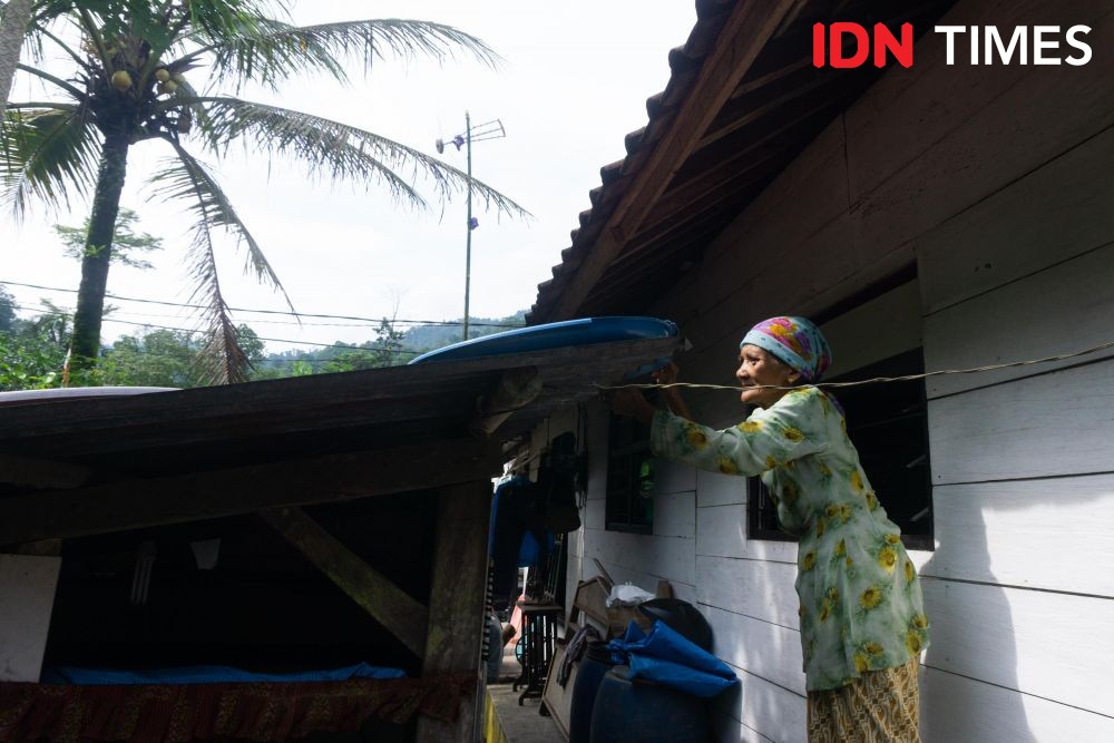 10 Potret Pemanfaatan Pohon Aren Khas Hutan Hujan Tropis Pekalongan