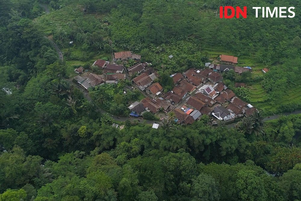 10 Potret Pemanfaatan Pohon Aren Khas Hutan Hujan Tropis Pekalongan