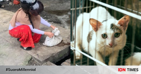 Viral penjagalan di medan, ini 5 bahaya makan daging kucing