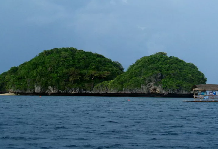 Shape island. Крокодиловый остров Филиппины. Черепаший остров. Остров черепаха Таганрог. Остров черепах Фиджи.