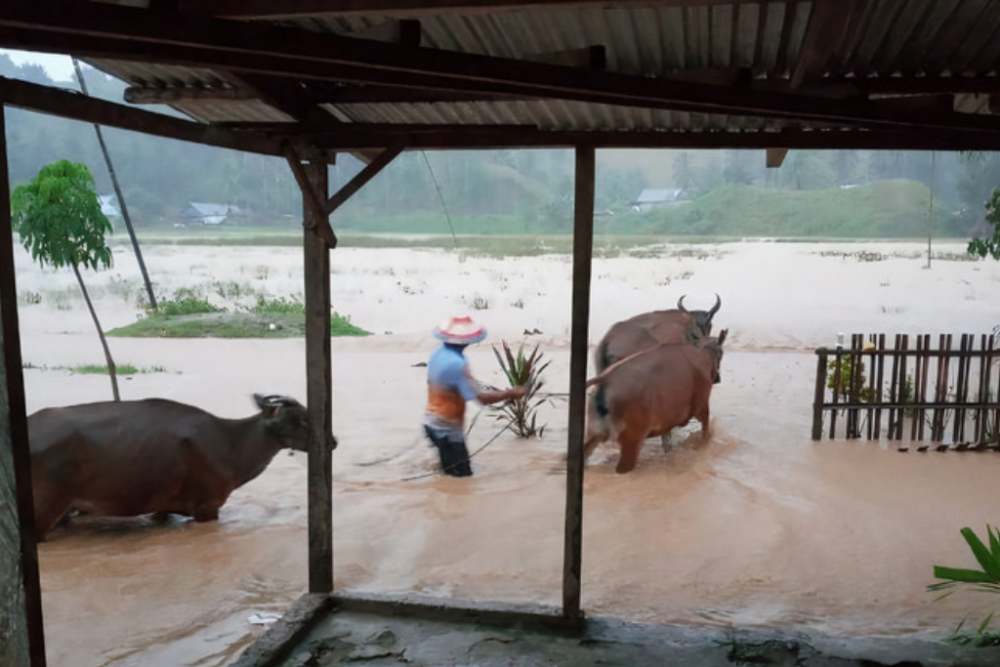 Banjir 1,5 Meter Melanda Sebagian Wilayah Kabupaten Gorontalo Utara