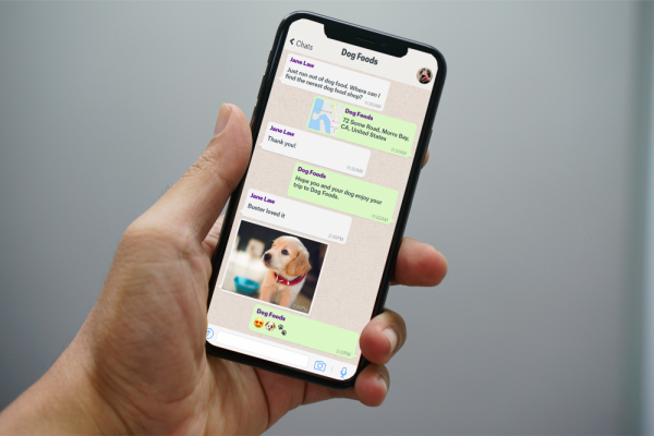 WhatsApp Gak Bisa Kirim Gambar? Ini Cara Mengatasinya!
