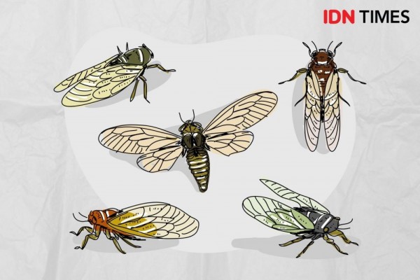 feature-image