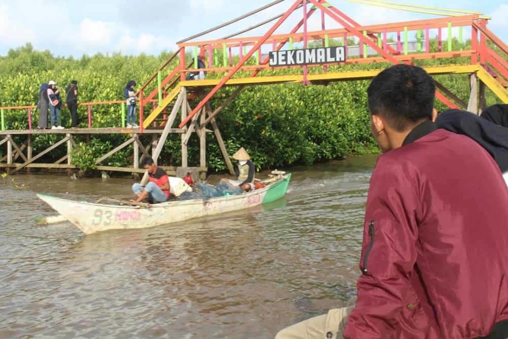 Relawan Ganjar Tanam 500 Bibit Mangrove di Makassar