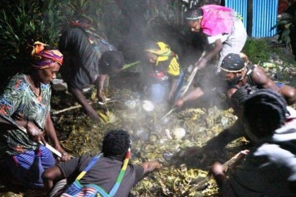 Selamat dari Serangan KKB, Suku Dambet Gelar Ritual Adat Bakar Batu