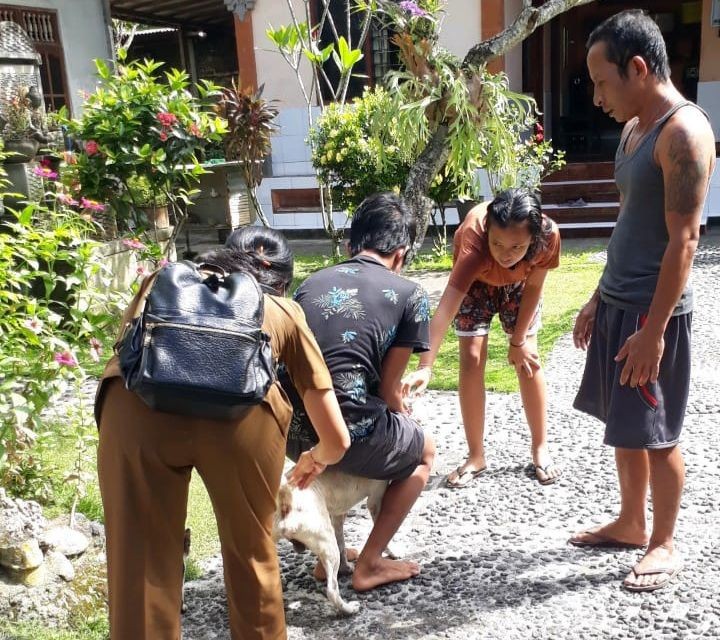 Anjing di Klungkung Bali Tiba-tiba Menyerang 7 Warga