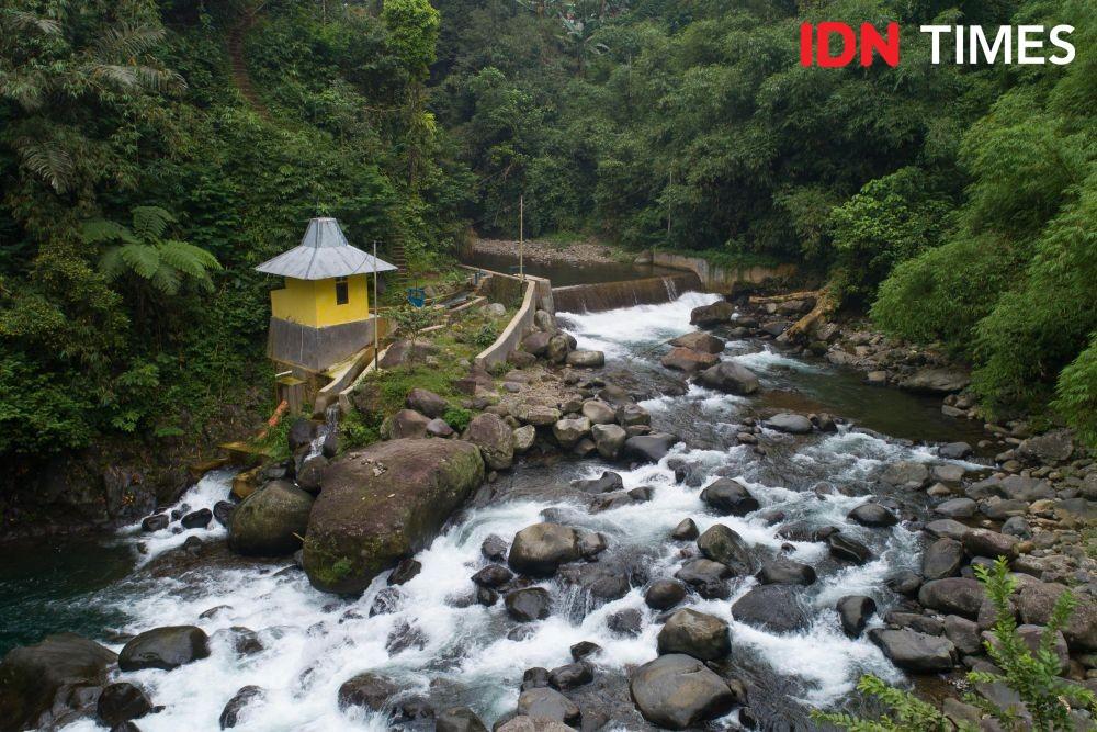 10 Potret Energi Listrik Buah Manfaat Hutan Hujan Tropis Pekalongan