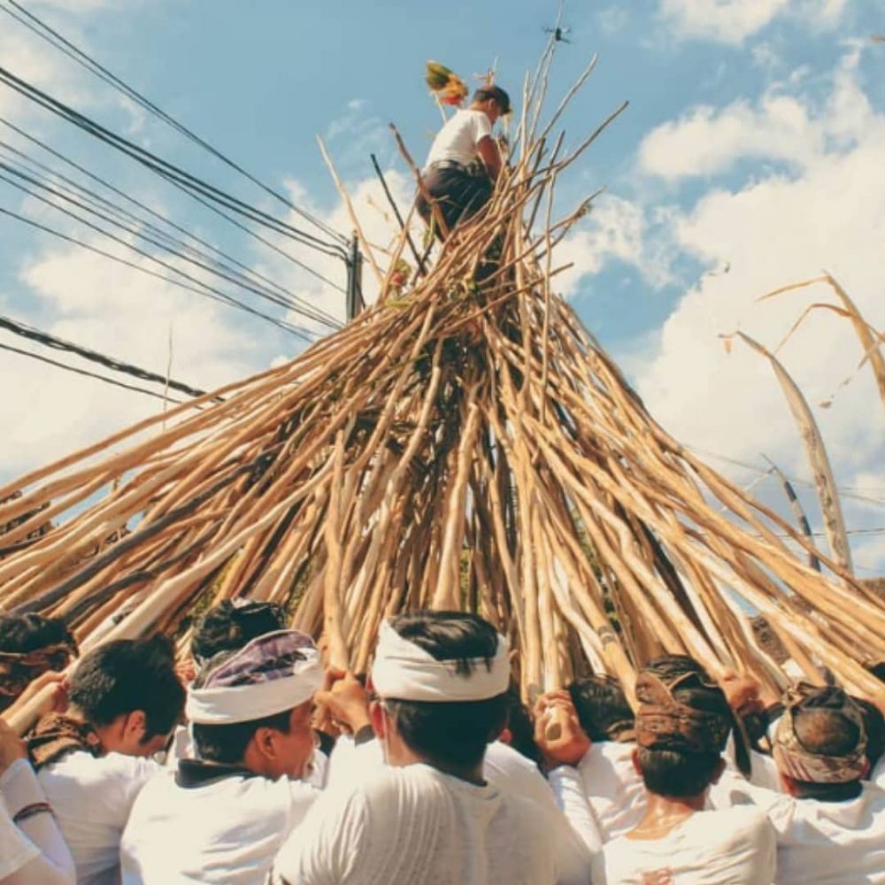 Ketika Tradisi Mekotek Jadi Ritual Wajib Tolak Bala di Bali