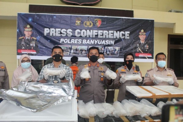 Puluhan Ribu Bibit Lobster Gagal Diselundupkan ke Vietnam