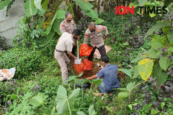 Polsek Sawangan Ungkap Fakta di Balik Dugaan Babi Ngepet yang Viral