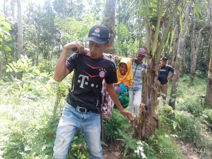 Kisah Miris Ibu Hamil di Pandeglang Ditandu Lewati Hutan ke Puskesmas