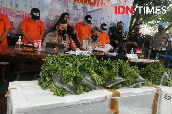 Polisi Gagalkan Penyelundupan 72.288 Benih Lobster Senilai Rp7 Miliar