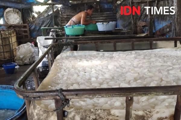 Primadona saat Lebaran, Mengintip Pengolahan Kolang-kaling di Langkat