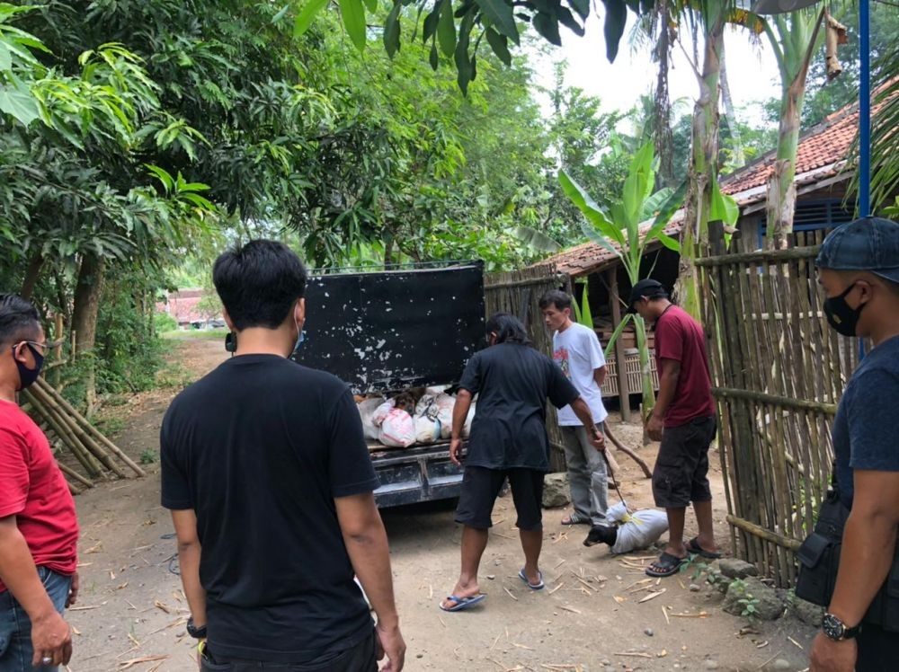 Kasus Perdagangan 78 Ekor Anjing di Kulon Progo Naik ke Meja Hijau