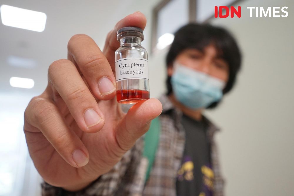 A researcher wearing a surgical mask holds up a glass vial with dark orange liquid pollen inside.
