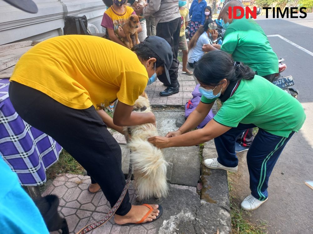 Seekor Anjing Menyerang 14 Warga di Klungkung Bali