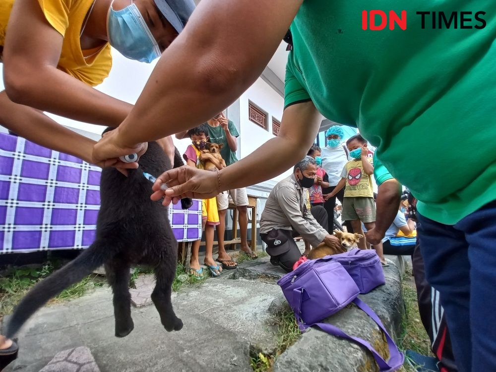Seekor Anjing Menyerang 14 Warga di Klungkung Bali