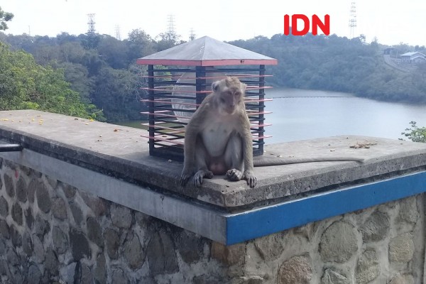 Masih Pandemik COVID-19, 850 Turis Liburan Padati Goa Kreo Semarang