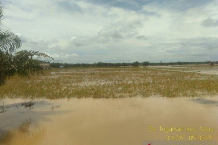 Banjir Melanda Tanah Bumbu Kalsel, Pemda Jamin Stok Obat dan Makanan 